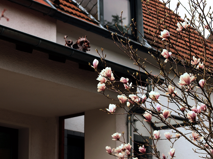 ザールブリュッケン