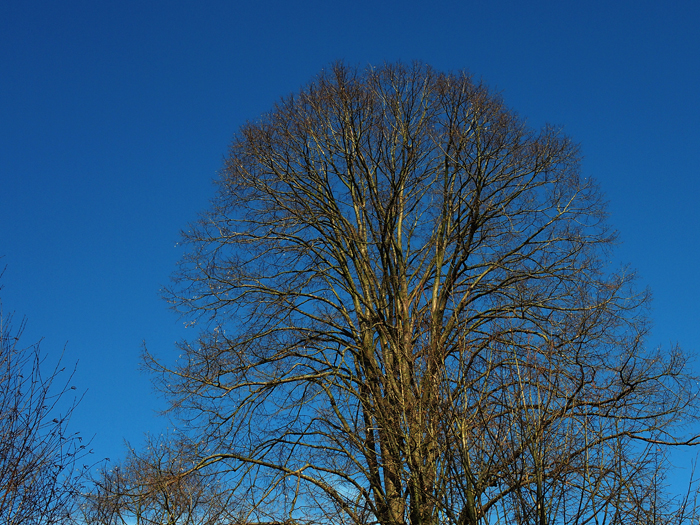 ザールブリュッケン