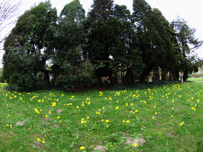 ザールブリュッケン