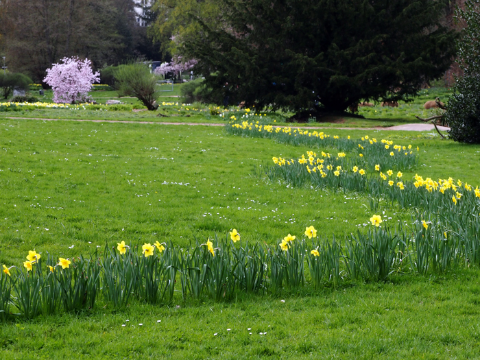 ザールブリュッケン