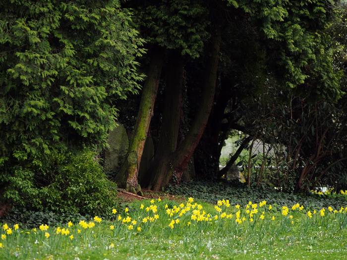 ザールブリュッケン