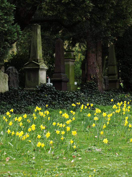 ザールブリュッケン