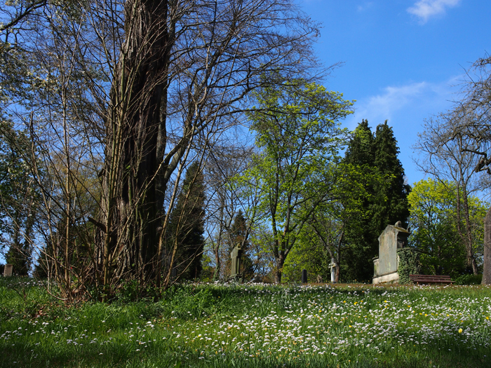 ザールブリュッケン