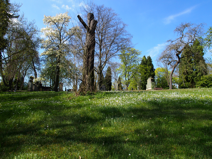 ザールブリュッケン
