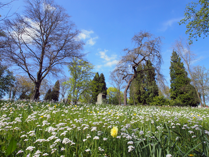 ザールブリュッケン