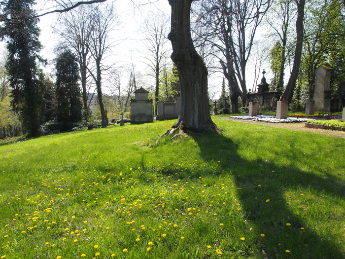 ザールブリュッケン