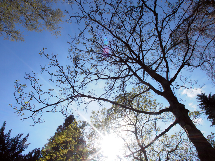 ザールブリュッケン