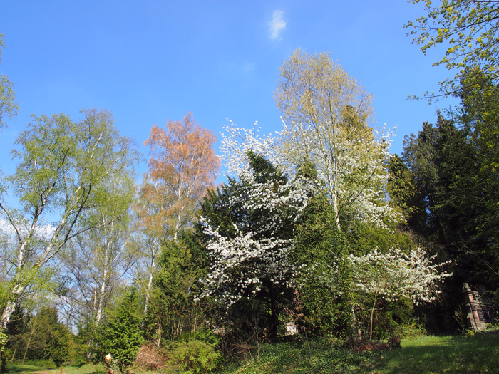 ザールブリュッケン