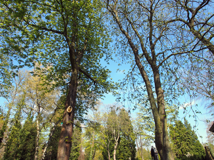 ザールブリュッケン