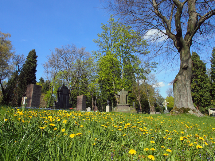 ザールブリュッケン