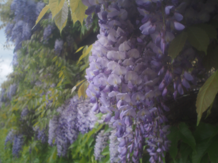 ザールブリュッケン