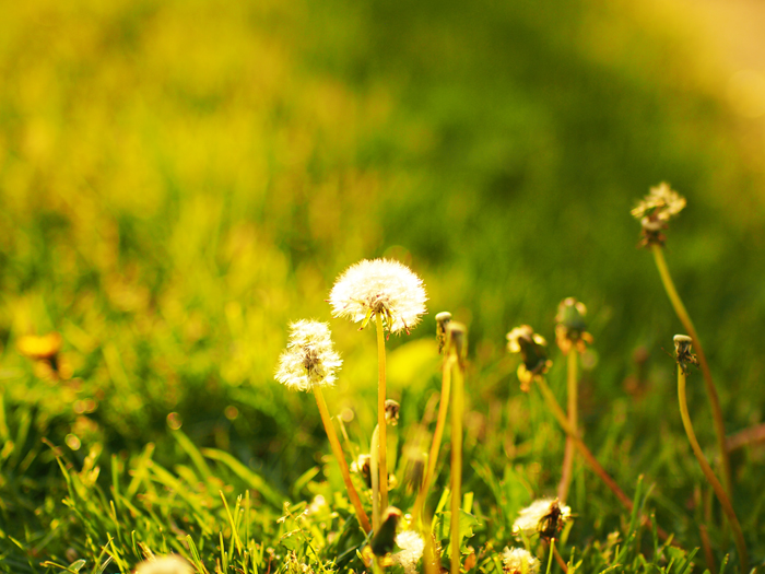 ザールブリュッケン