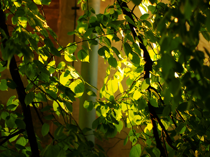 ザールブリュッケン