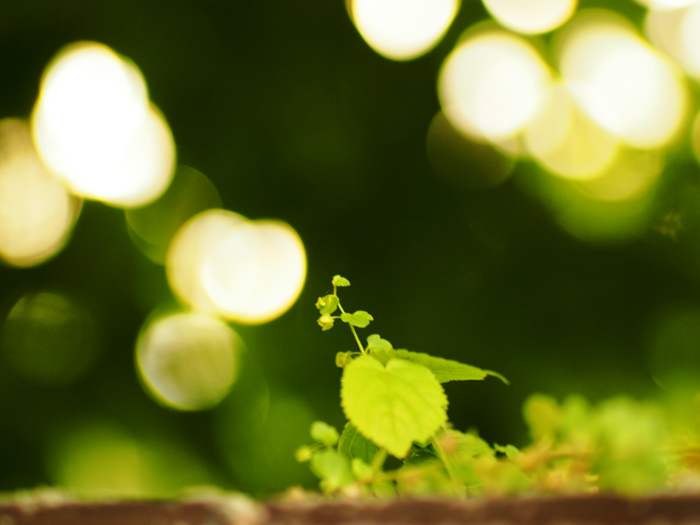 ザールブリュッケン