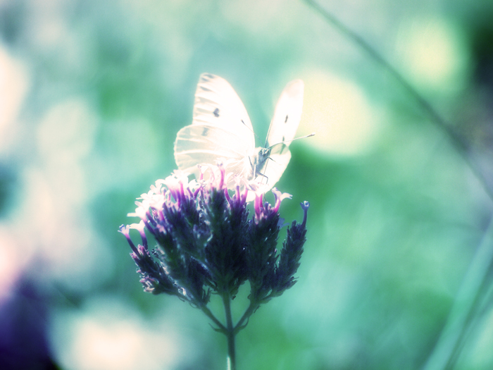 ザールブリュッケン