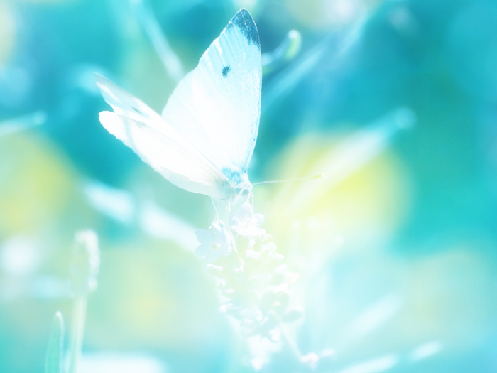 ザールブリュッケン