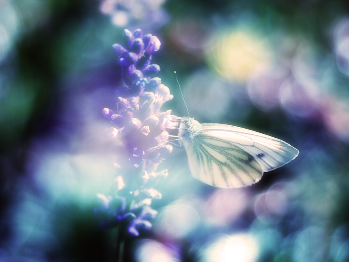 ザールブリュッケン