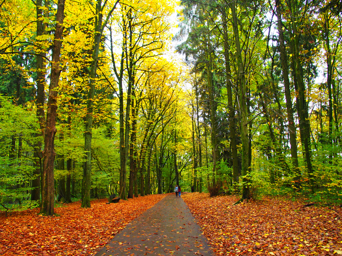 ザールブリュッケン