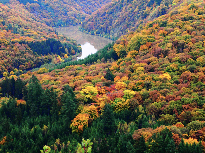 ザールブリュッケン