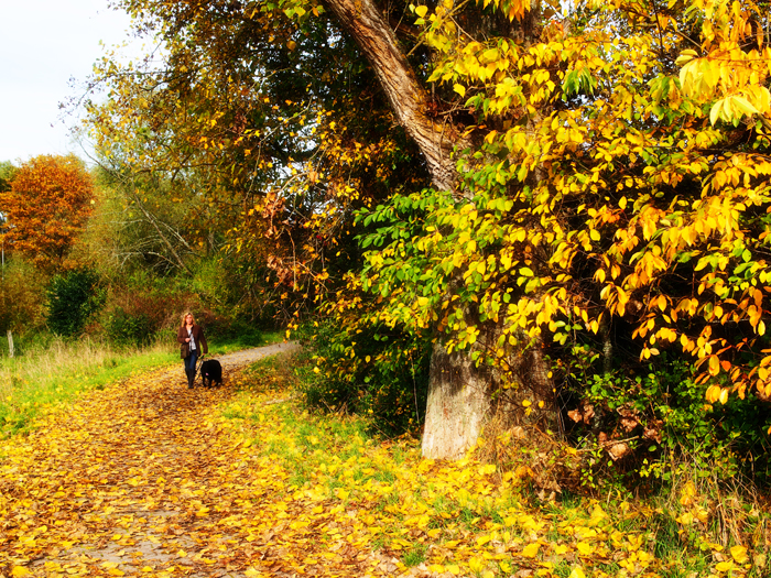 ザールブリュッケン