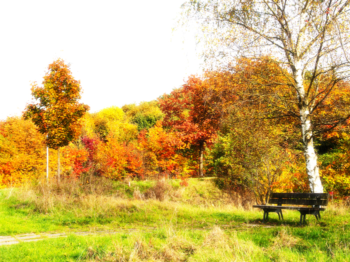ザールブリュッケン
