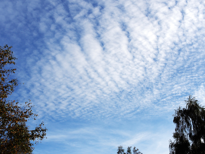 ザールブリュッケン