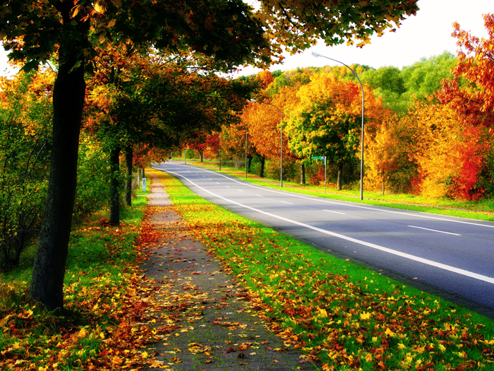 ザールブリュッケン