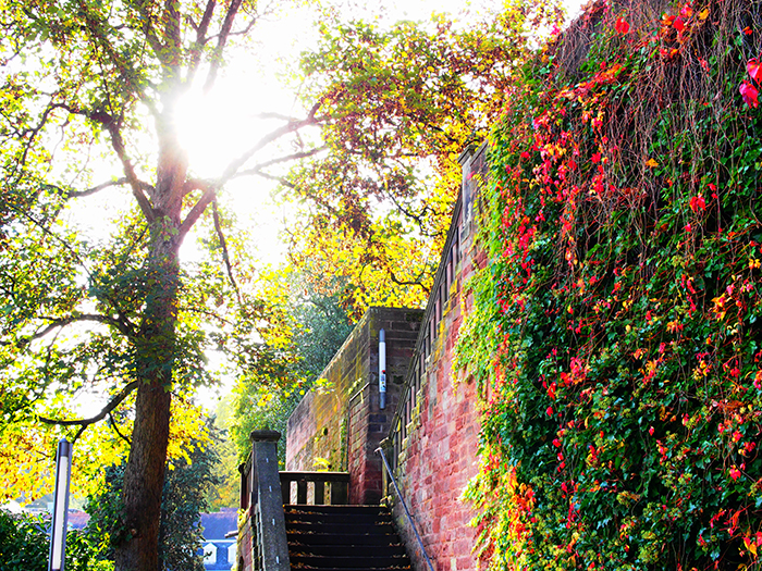 ザールブリュッケン