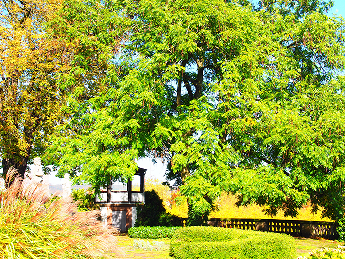 ザールブリュッケン