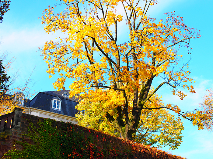 ザールブリュッケン