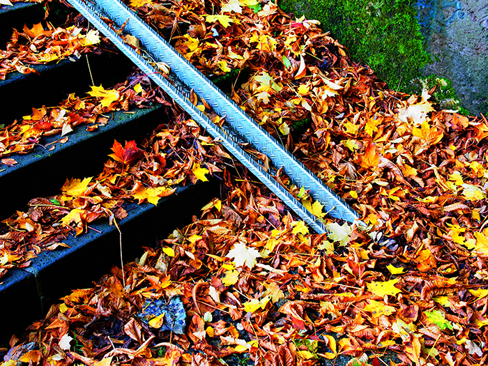 ザールブリュッケン