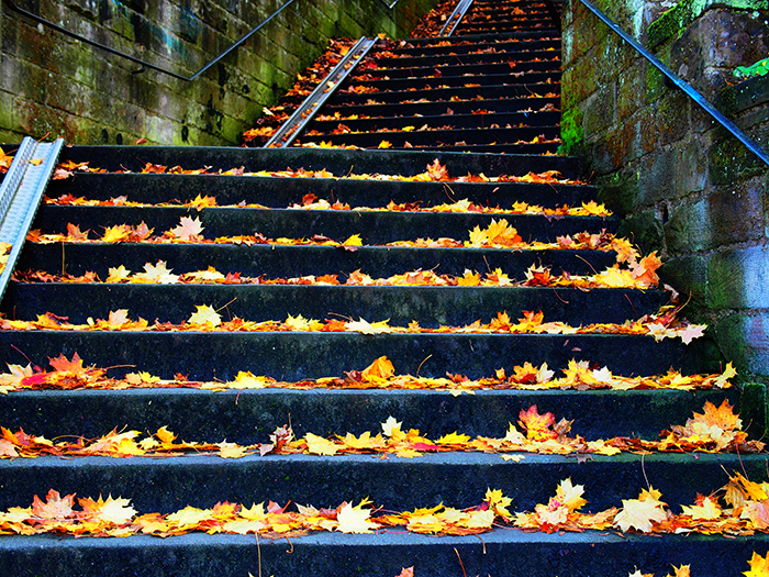 ザールブリュッケン