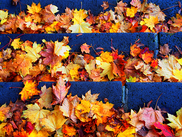 ザールブリュッケン