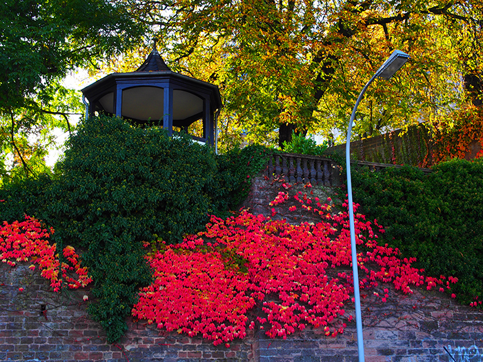 ザールブリュッケン