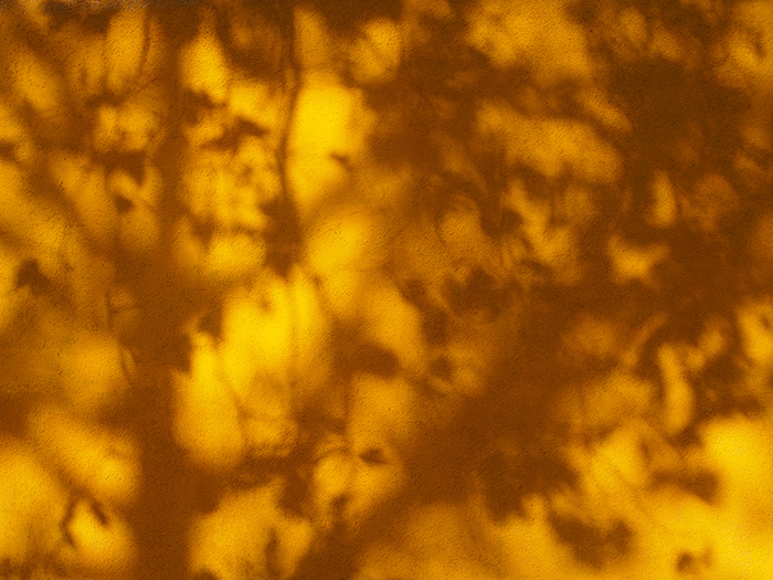 ザールブリュッケン