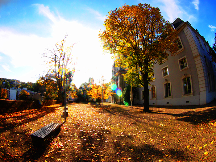 ザールブリュッケン