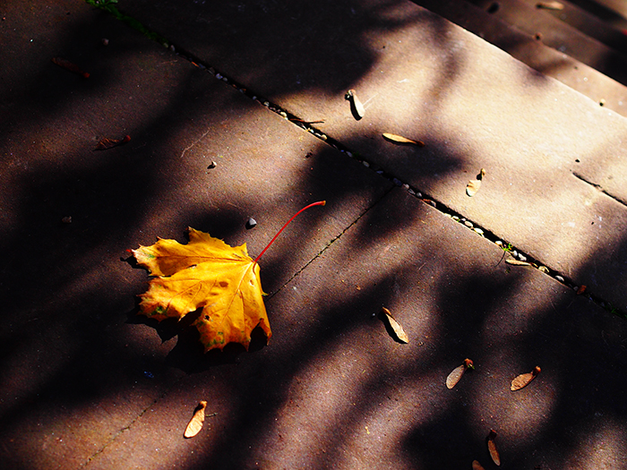 ザールブリュッケン