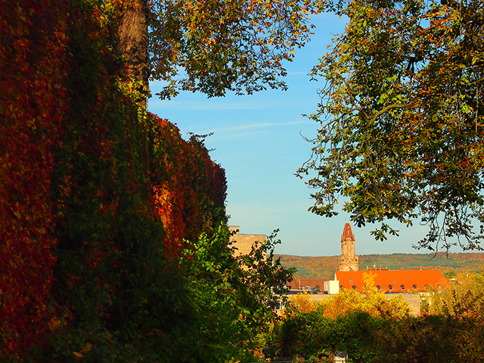 ザールブリュッケン