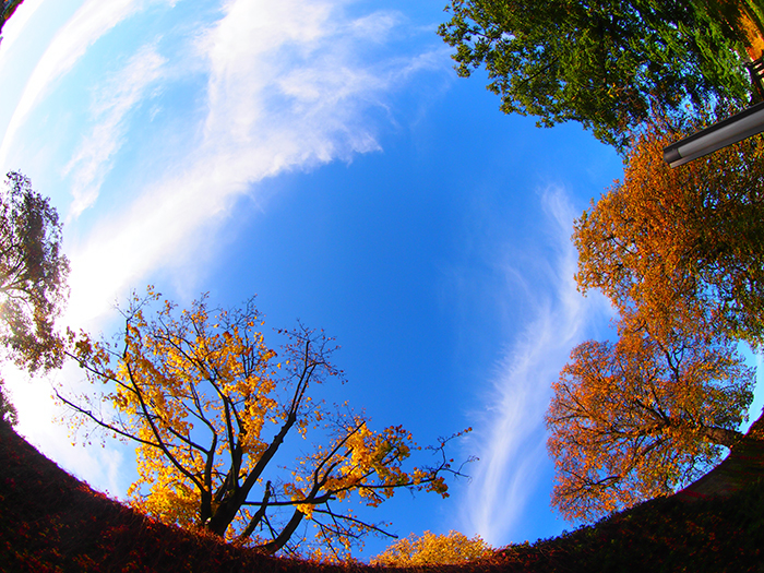 ザールブリュッケン