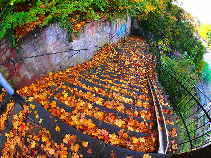 ザールブリュッケン