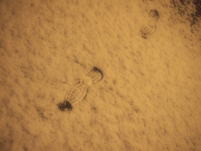 雪