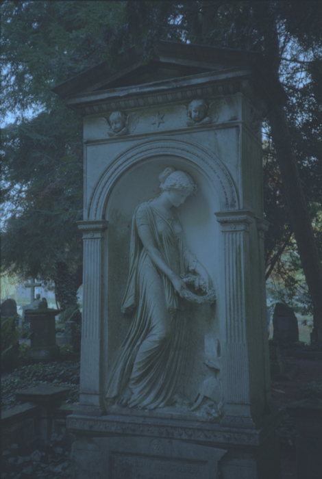 フィルムスキャナー